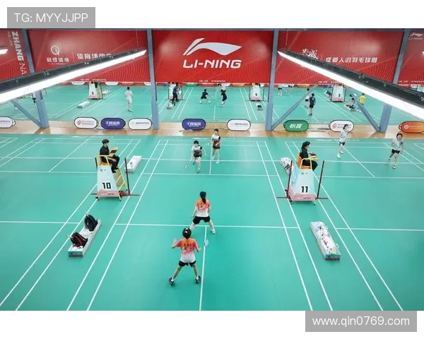 全国锦标赛回顾：成都羽毛球队技术实力的全面分析与评价