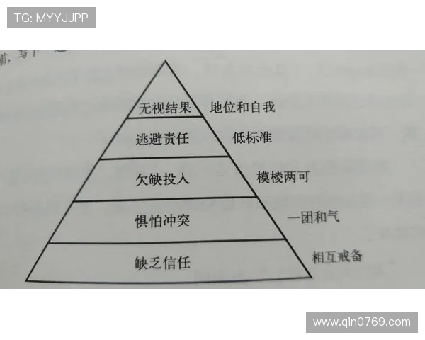 南京排球队意识探讨：提升团队协作与竞技水平的关键因素分析