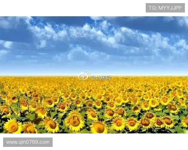 足球明星在赛季间隙享受生活放空自己寻找内心的平静与灵感 足球明星在赛季间隙享受生活放空自己寻找内心的平静与灵感