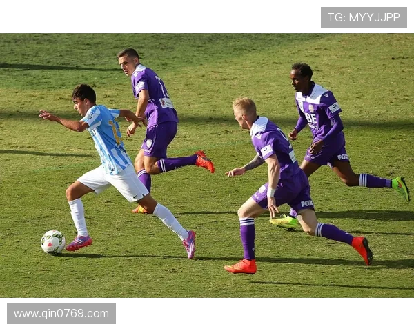 施姓足球明星的辉煌历程与成就解析