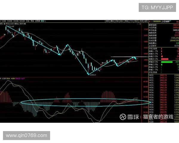 杭州排球队与西安排球队的赛后复盘与节奏分析